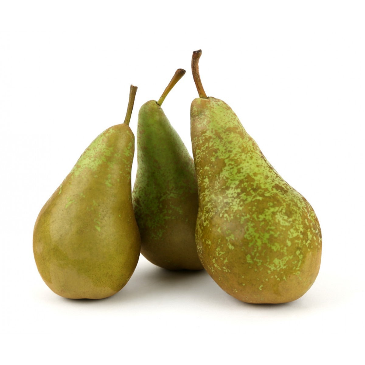 Conference Pears