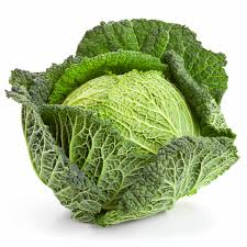 Savoy Cabbage